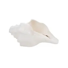 Huge Blowing Conch Shell - Vamavarti Shankh (6-7 inches)