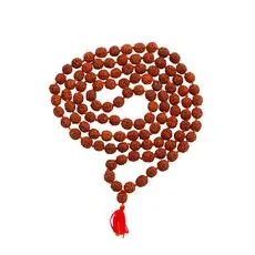 Rudraksha Prayer Mala with 10 mm and 5 faced beads