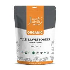 Organic Tulsi or Holy Basil Powder- 3.5 Oz, 100% Fresh Tulsi Powder, Non-GMO USDA Certified 100% Organic Ocimum Sanctum, Pure and Natural Holy Basil an Ayurvedic Adaptogen and Powerful Anti-Oxidant