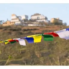 Medium Size Windhorse Tibetan Prayer Flag Set