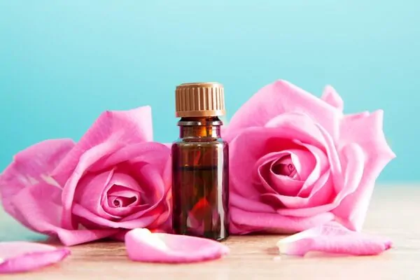 How Women Can Ease Menstruation Cycle Pain Using Essential Oils